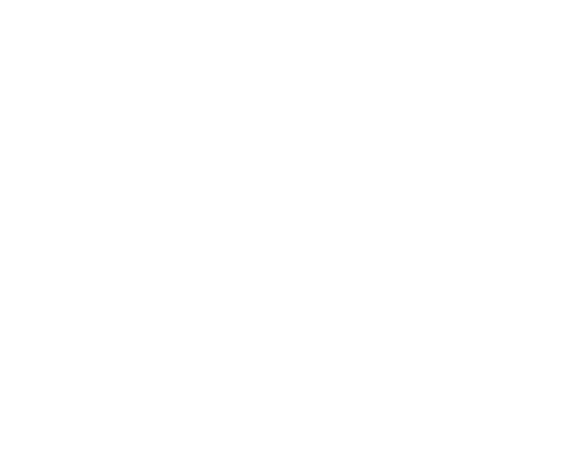 ANIMEX